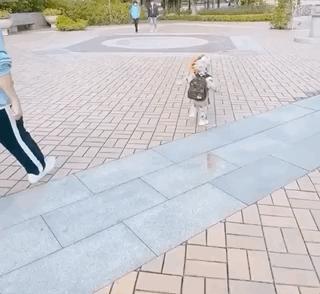 安以轩复工首晒照,安以轩复工照