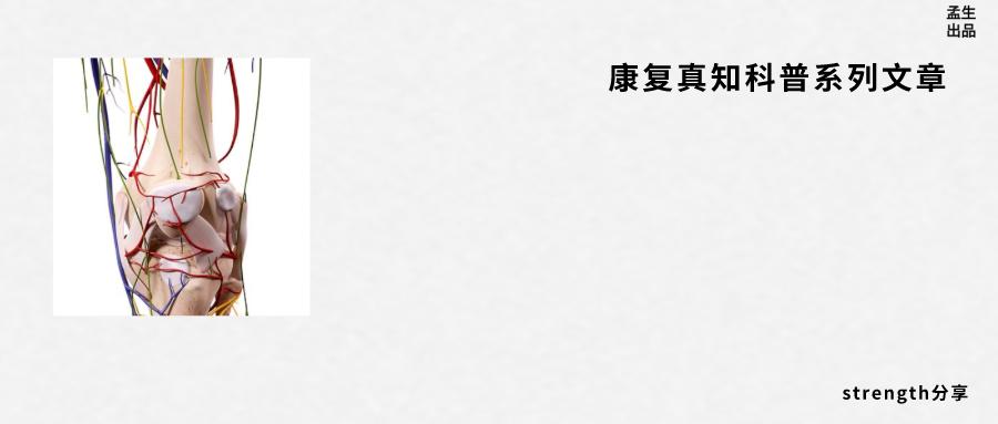 恶名昭彰小说,恶名昭著劳伦斯