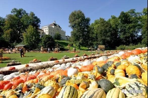 花卉蔬菜制作教程,花卉怎么做