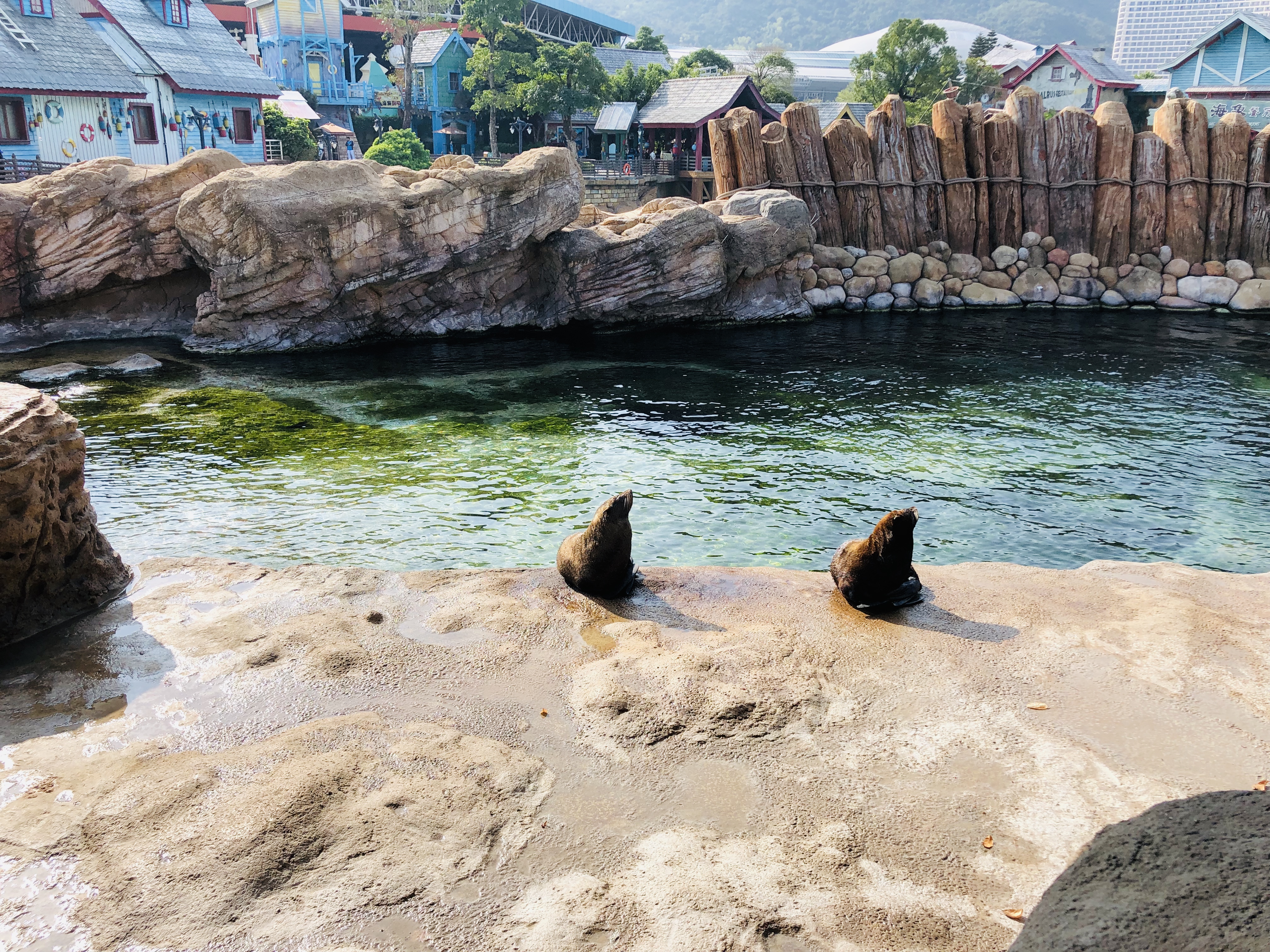 寒假带孩子去长隆玩什么,长隆寒假旅游攻略