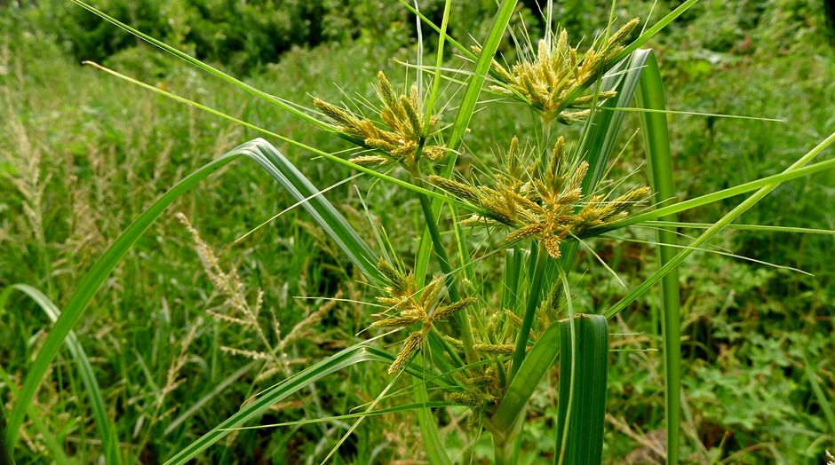 说文解字第0019集,说文解字第143课全集