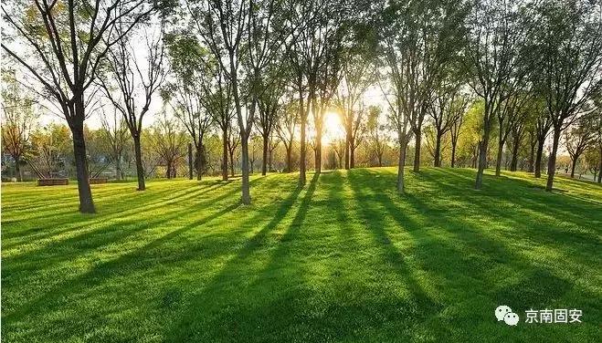 曝光真实容貌,固安现在的样貌