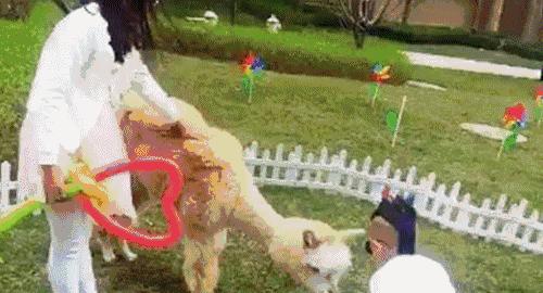 别样馫味！新都天府沸腾小镇，麻辣盛宴等你打卡