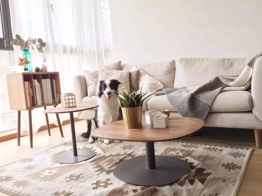 90后花9000元爆改老房子,90后夫妻精心改造精装房