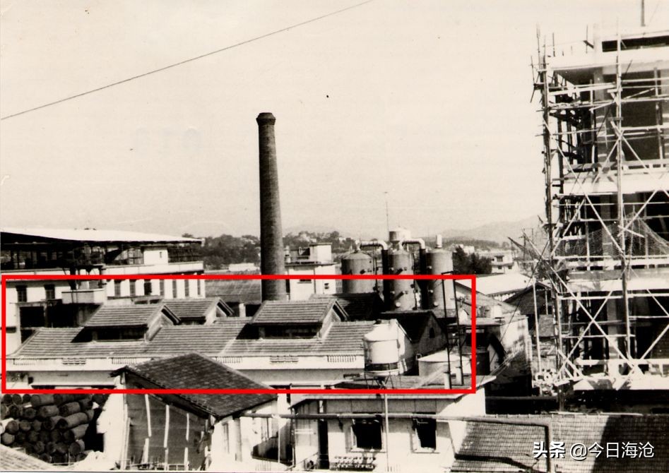 厦门二个双子塔区别,厦门排名第一的是谁