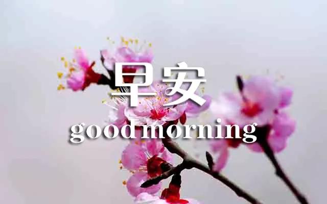 早上好心灵鸡汤正能量语句,早上好的励志句子心灵鸡汤
