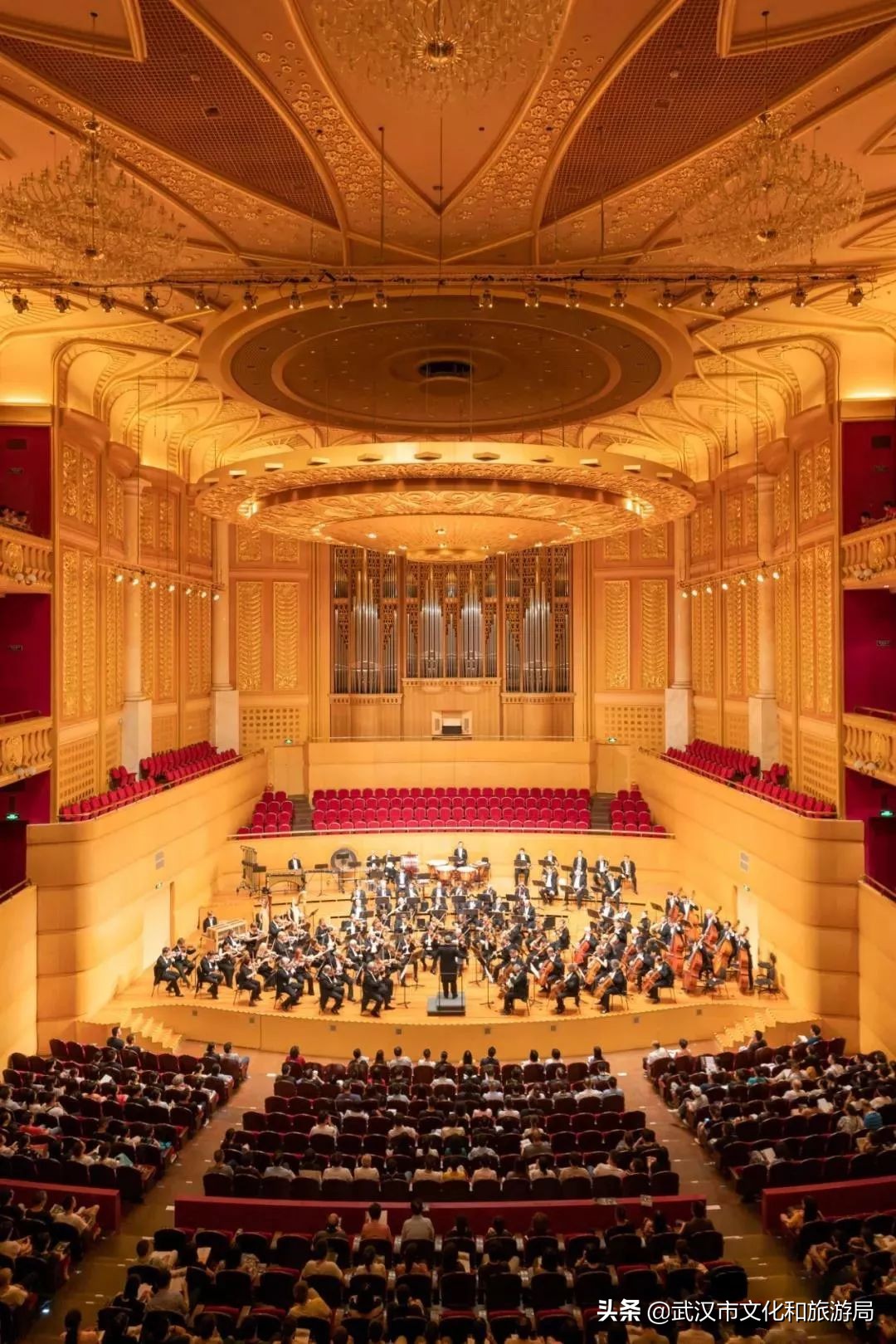 送票|武汉人，请收好这份世间极美的“维也纳金”！