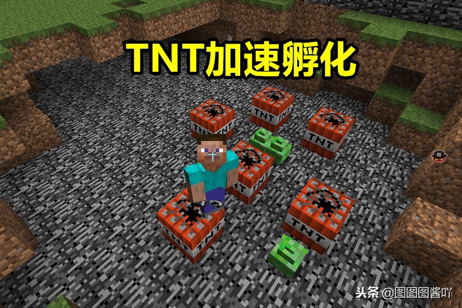 我的世界怎么养苦力怕当宠物,我的世界小苦力怕怎么当宠物