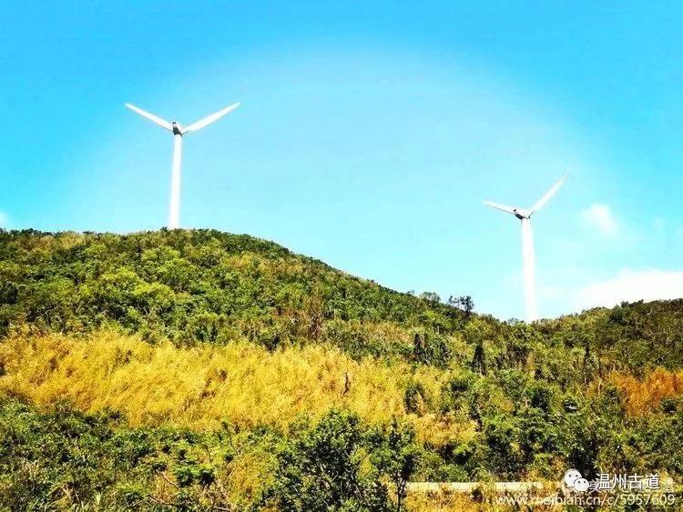 浙江东海大陈岛,台州大陈岛东海明珠