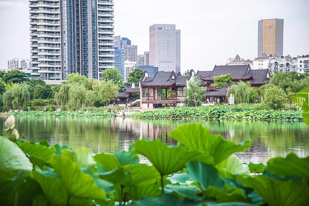 武汉冷门自驾免费景点,武汉旅游景点免费预约