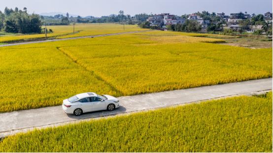 轩逸经典新车油耗14升正常吗,百公里实测油耗2.4l
