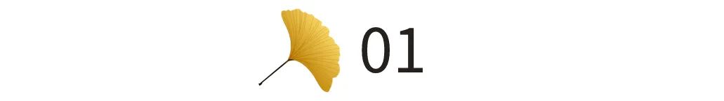 长途私家司机在高速上群发微信接客、语音闲聊，你遇到会怎么做？