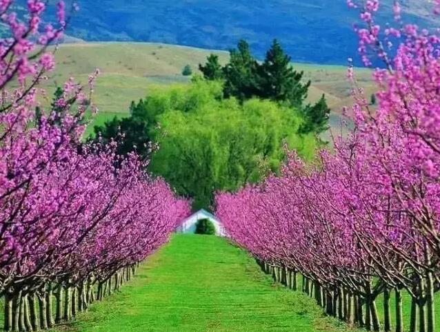 善良是一个人最大的实力,善良是一个人的教养