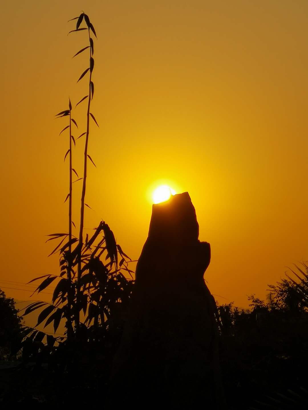 羊山湾喜乐田庄是什么,喜欢手机摄影的朋友