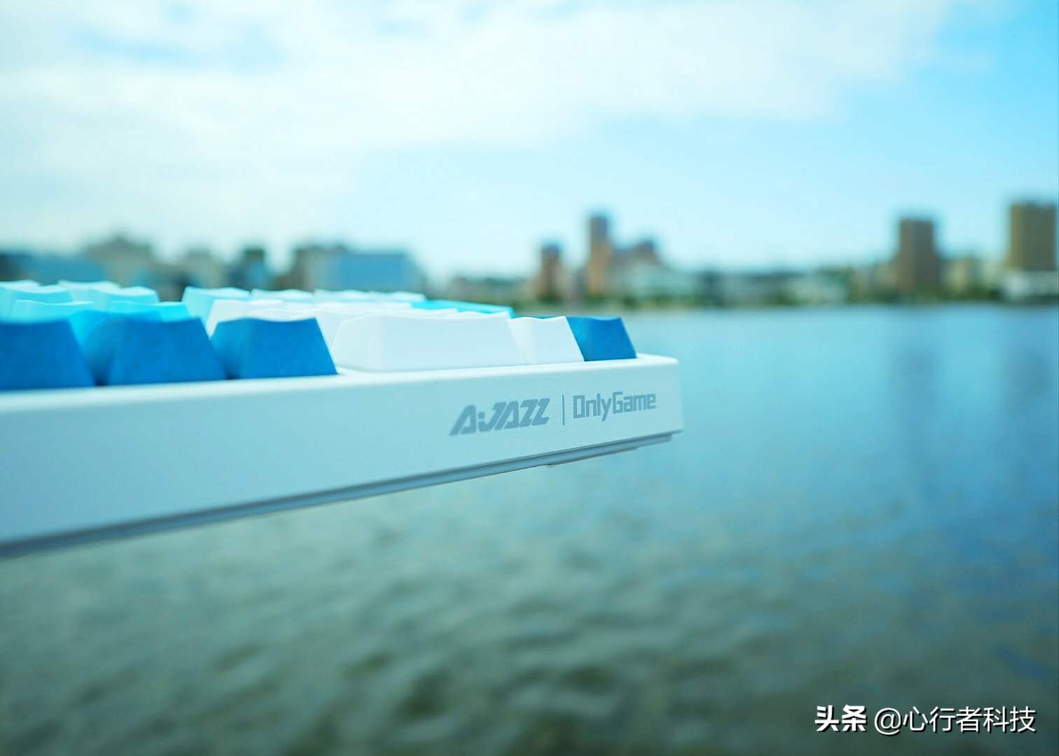 蜻蜓点水立指尖——黑爵蜻蜓键茶轴体验