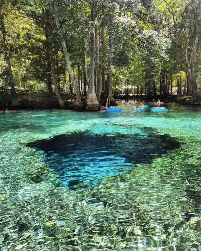 自然奇观水下世界,水下世界非常神秘而美丽
