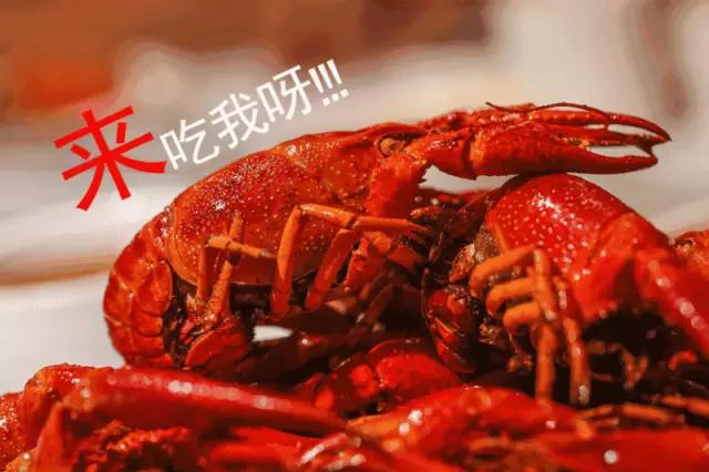 吃虾别瞎吃,一天吃虾不要超过多少