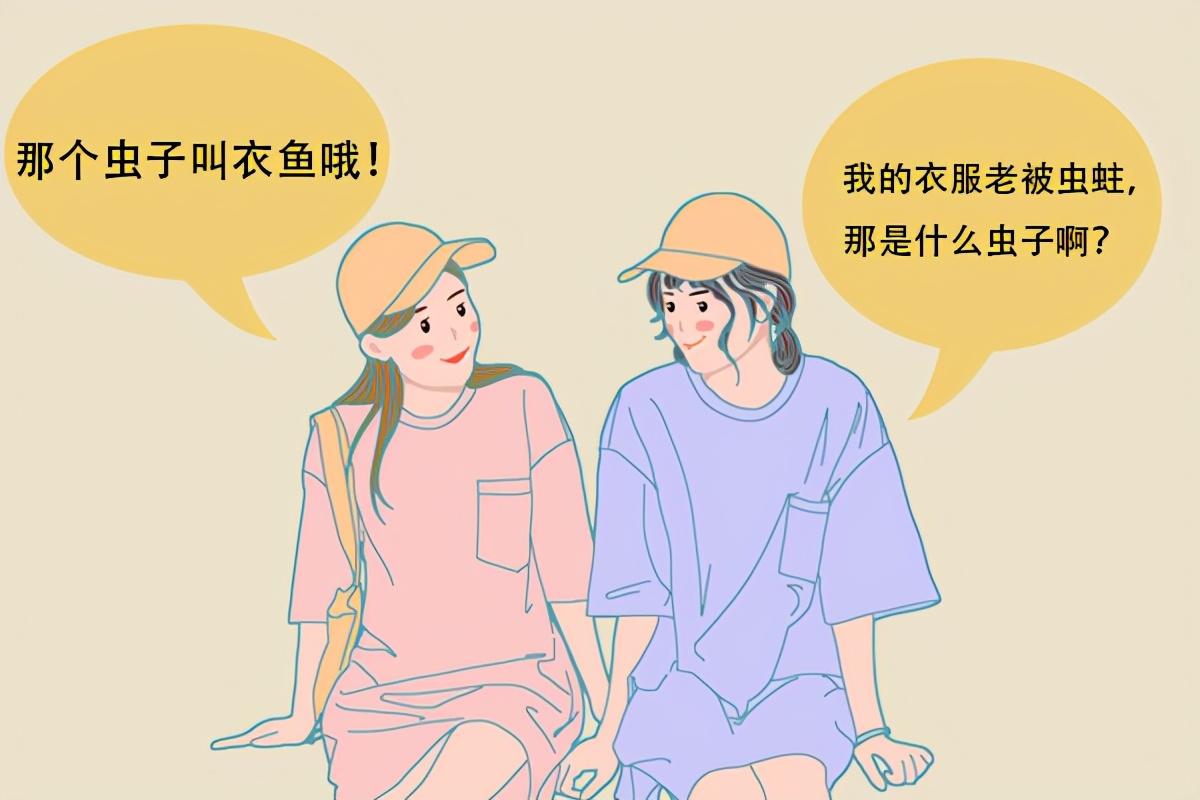 衣服被虫蛀该怎么办？蛀食衣物的虫子又是什么呢？