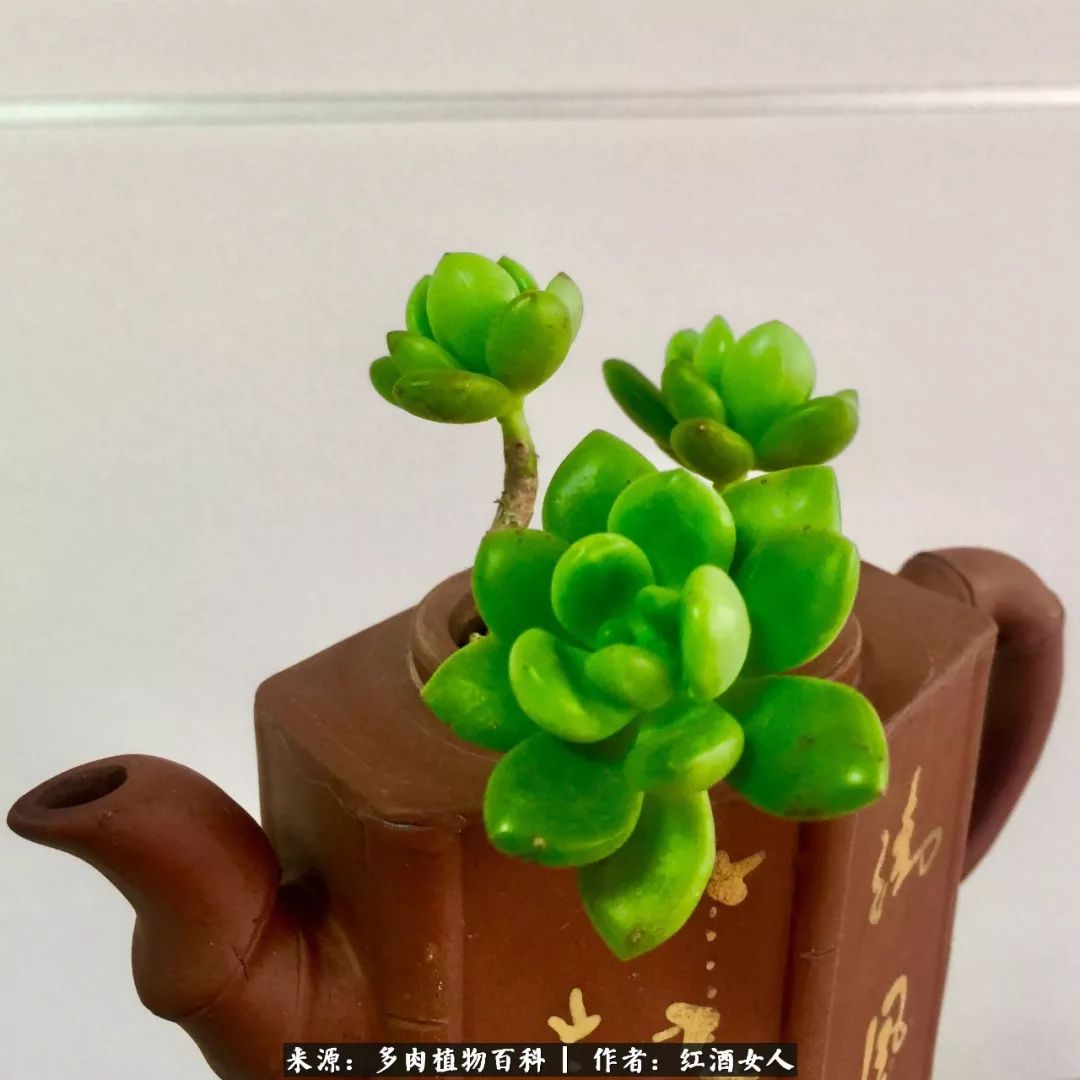 记录走过的美景留下美好的回忆,记录走过的每一段美好时光