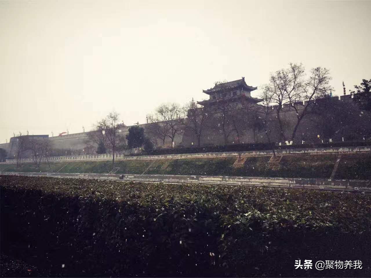 西安饺子王酸汤水饺,西安饺子王图片大全