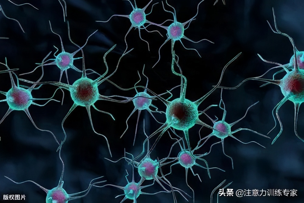 一考试就紧张脑子一片空白,怎么解决一考试就大脑一片空白