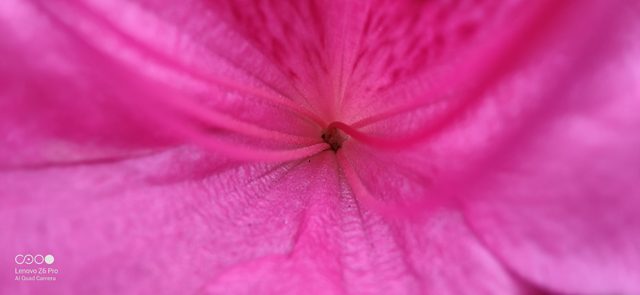 24小时深入体验联想Z6Pro评测，给小米9和iQOO下战书！