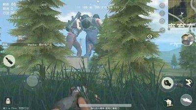 游戏外挂发展史,为什么游戏外挂越来越严重