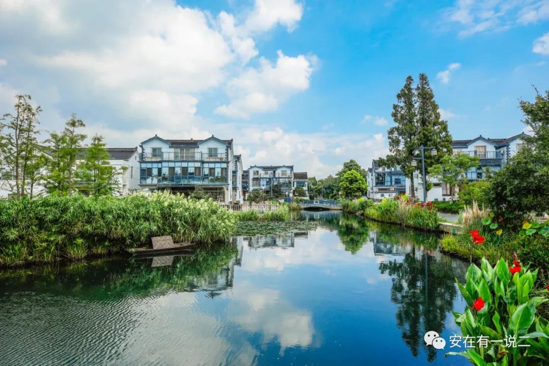 浦奕安简介,浦奕安简历