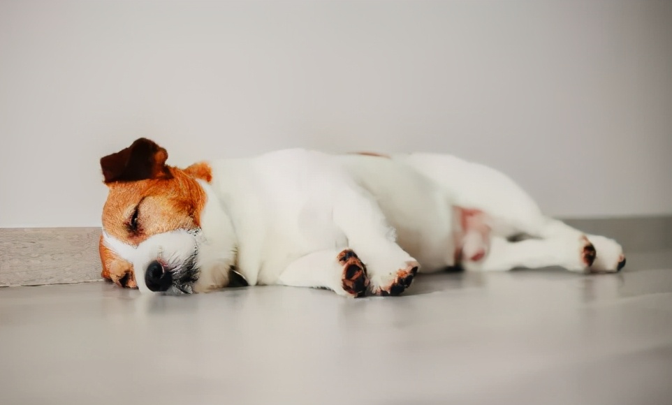 为什么25度会中暑,医护人员核酸检测中暑