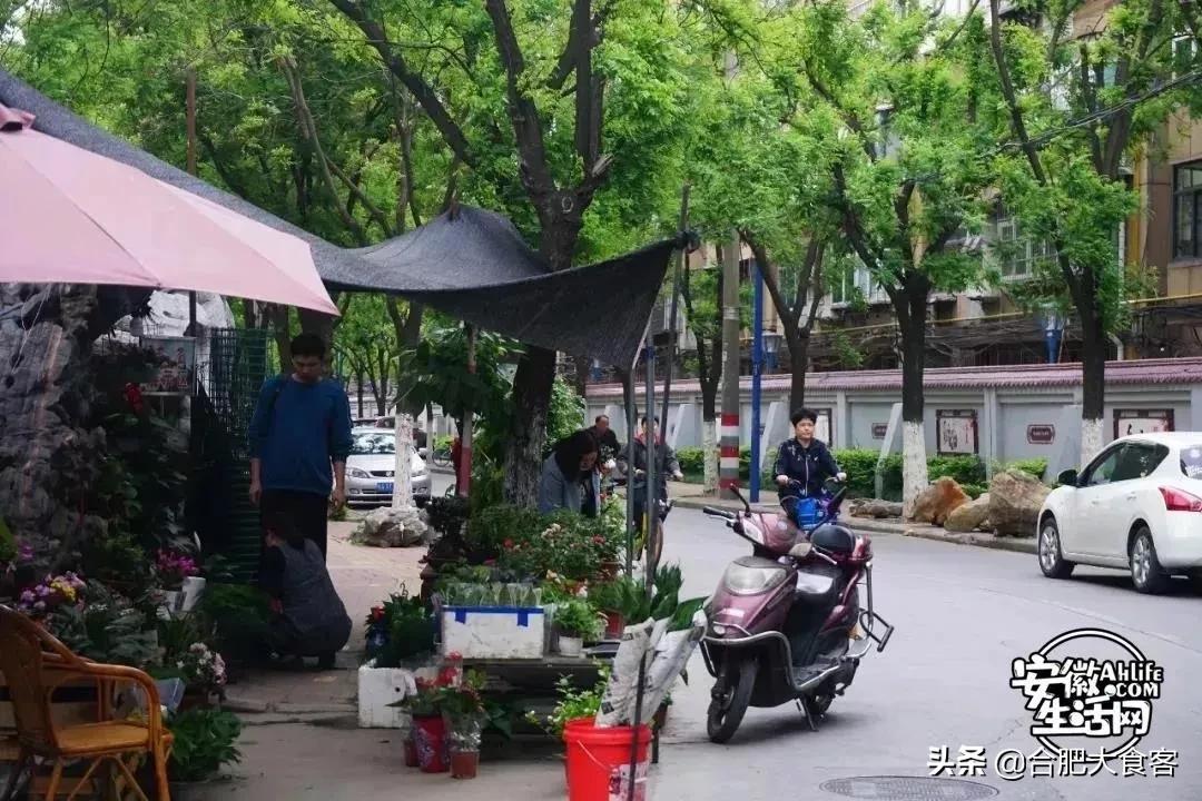 2020年,在这50个地方遇见不一样的合肥