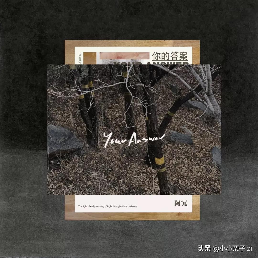 最火的十首最好听背景音乐,2019年最火背景音乐