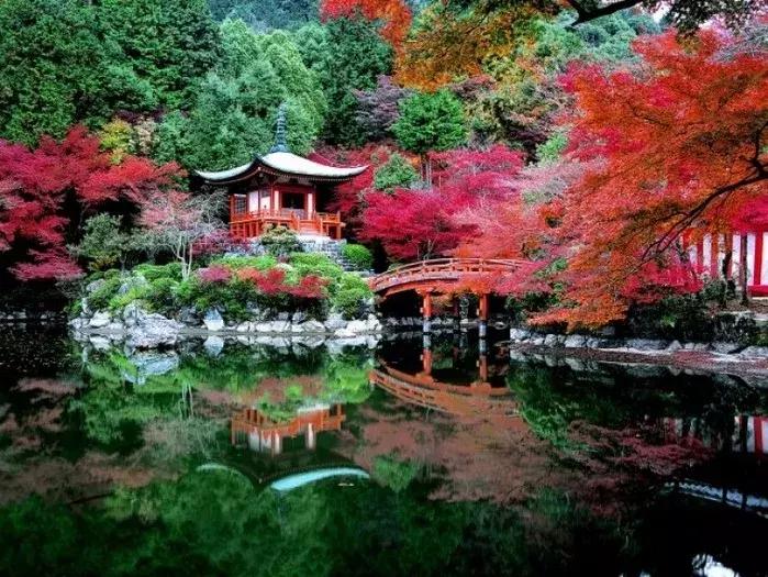 日本美景8k超高清,日本自然人文美景