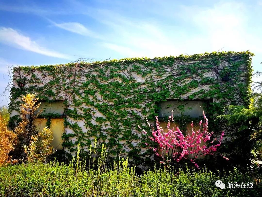 高中生的福利，带你走进山东交通职业学院，入学签订就业协议，保障100%就业，正式工作后，缴纳五险一金