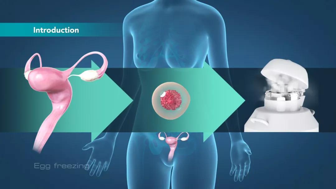 试管婴儿怎么知道受孕成功,试管婴儿怎么知道多少周了