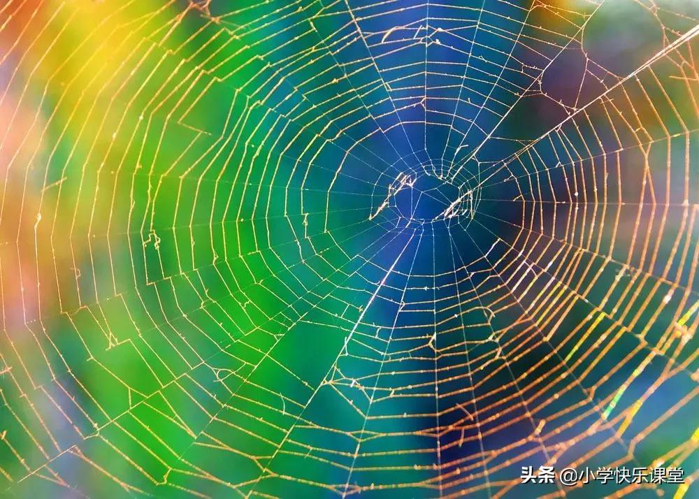 一年级数学小故事10篇最简短的,数学小故事10篇最简短的趣味数学