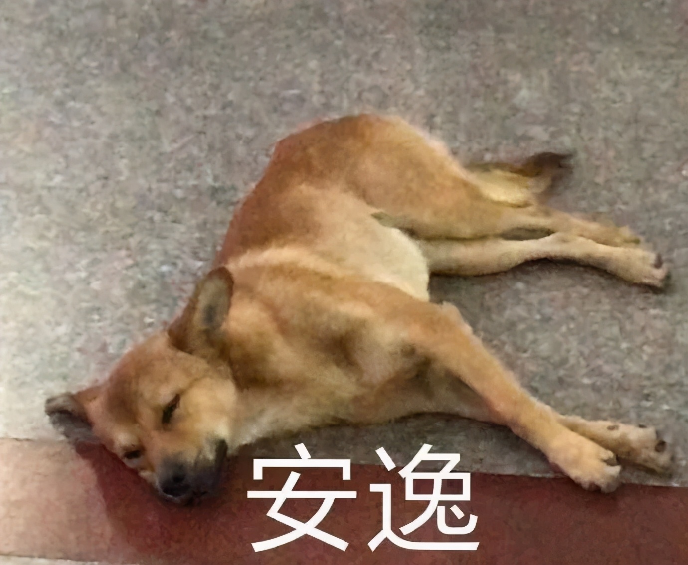 pl粉底液适合干皮还是油皮,迪奥花蜜粉底液适合干皮还是油皮