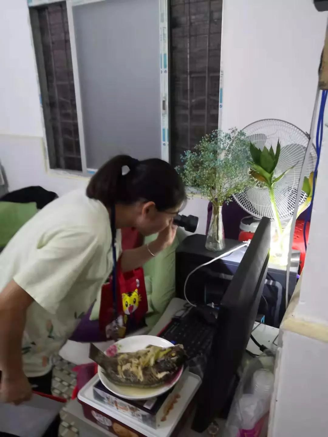 越秀|出现登革热相关症状,可到这些地方免费排查