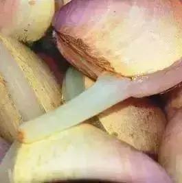 青岛十大海鲜干货特产,青岛西海岸特产推荐