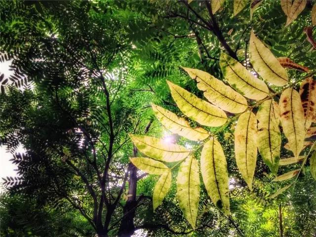 昆明徒步藏在郊区的童话山,昆明适合登山徒步的景点有哪些