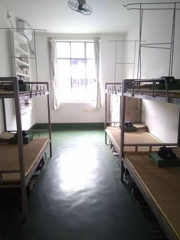 广东十所大专上了不会后悔的专业,广东公办职业学院最好的6个专业