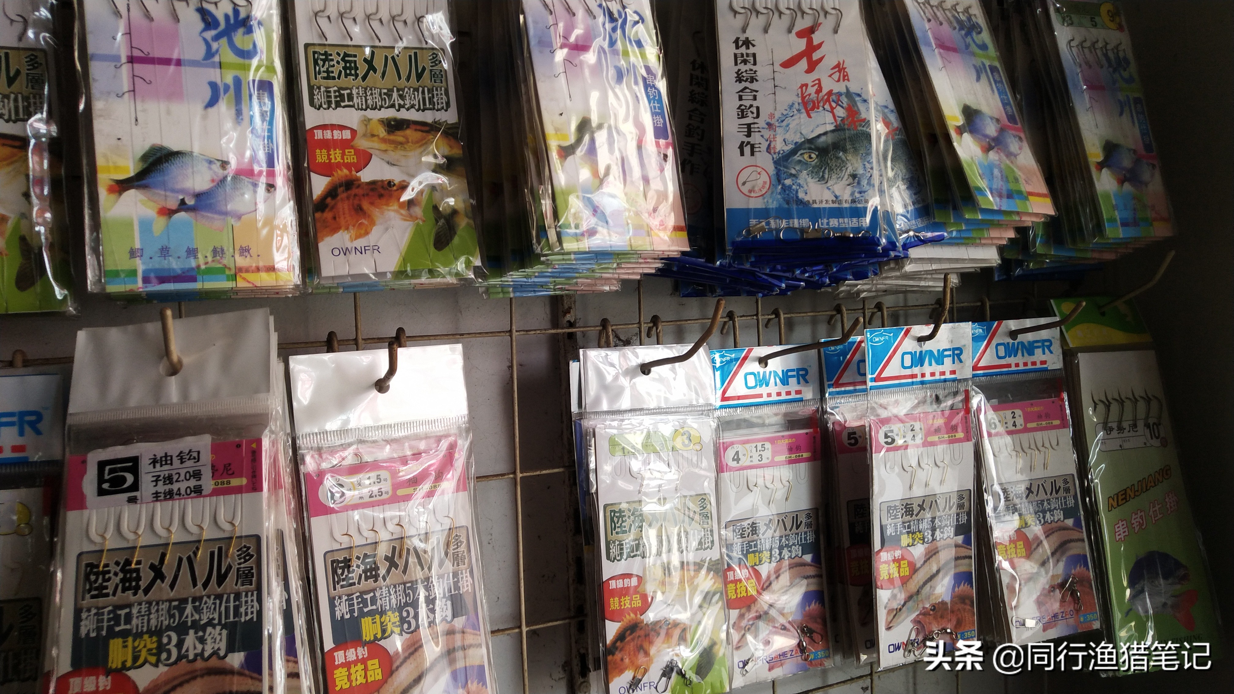 手竿钓梭鱼串钩调漂的正确方法,如何用手竿用虾皮串钩钓翘嘴