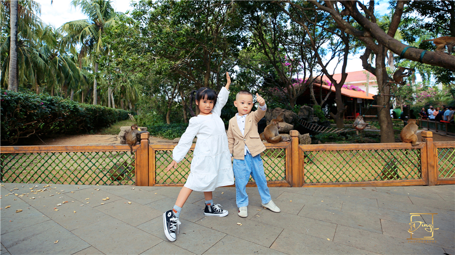 陵水猴岛与呆呆岛之旅,三亚猴岛呆呆岛有必要去吗