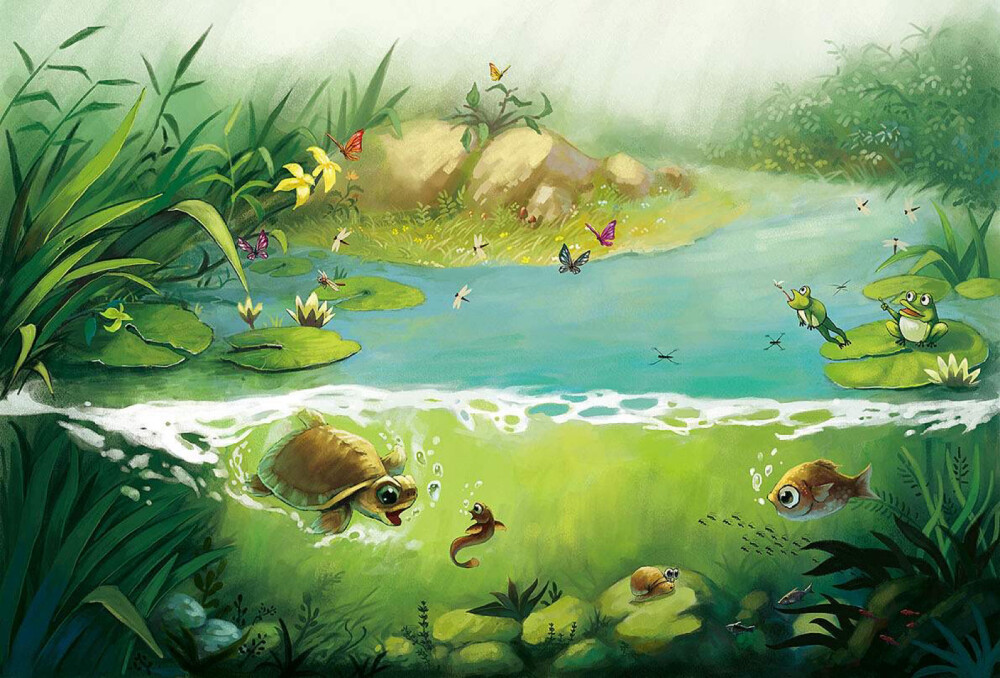 心中的简易池塘,心中的池塘手抄报