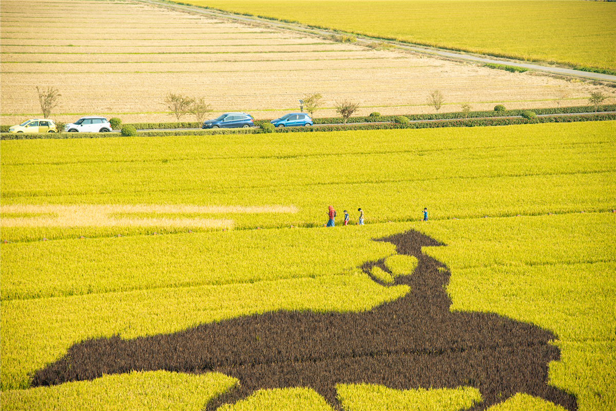 秋天苏州游玩,苏州旅游攻略秋天
