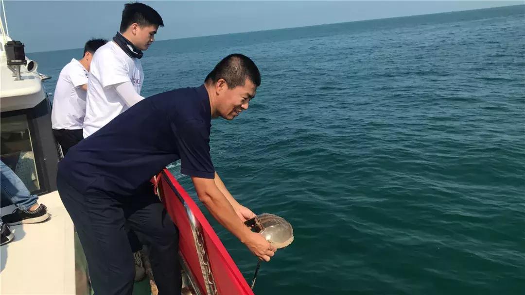 中秋大家回家了吗,中秋都回家了吗