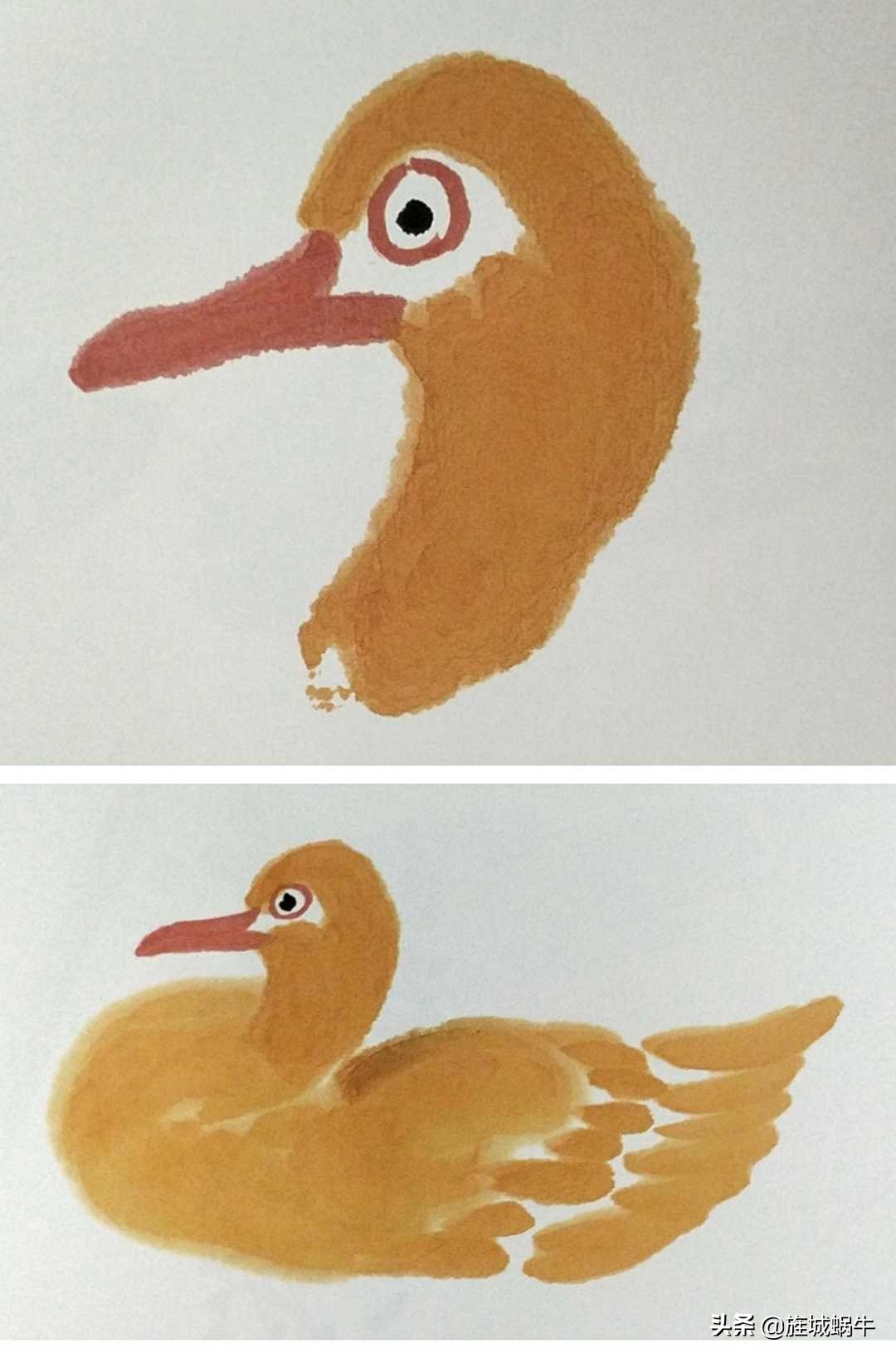 一学就会的禽鸟画法书,禽鸟的画法大全图解