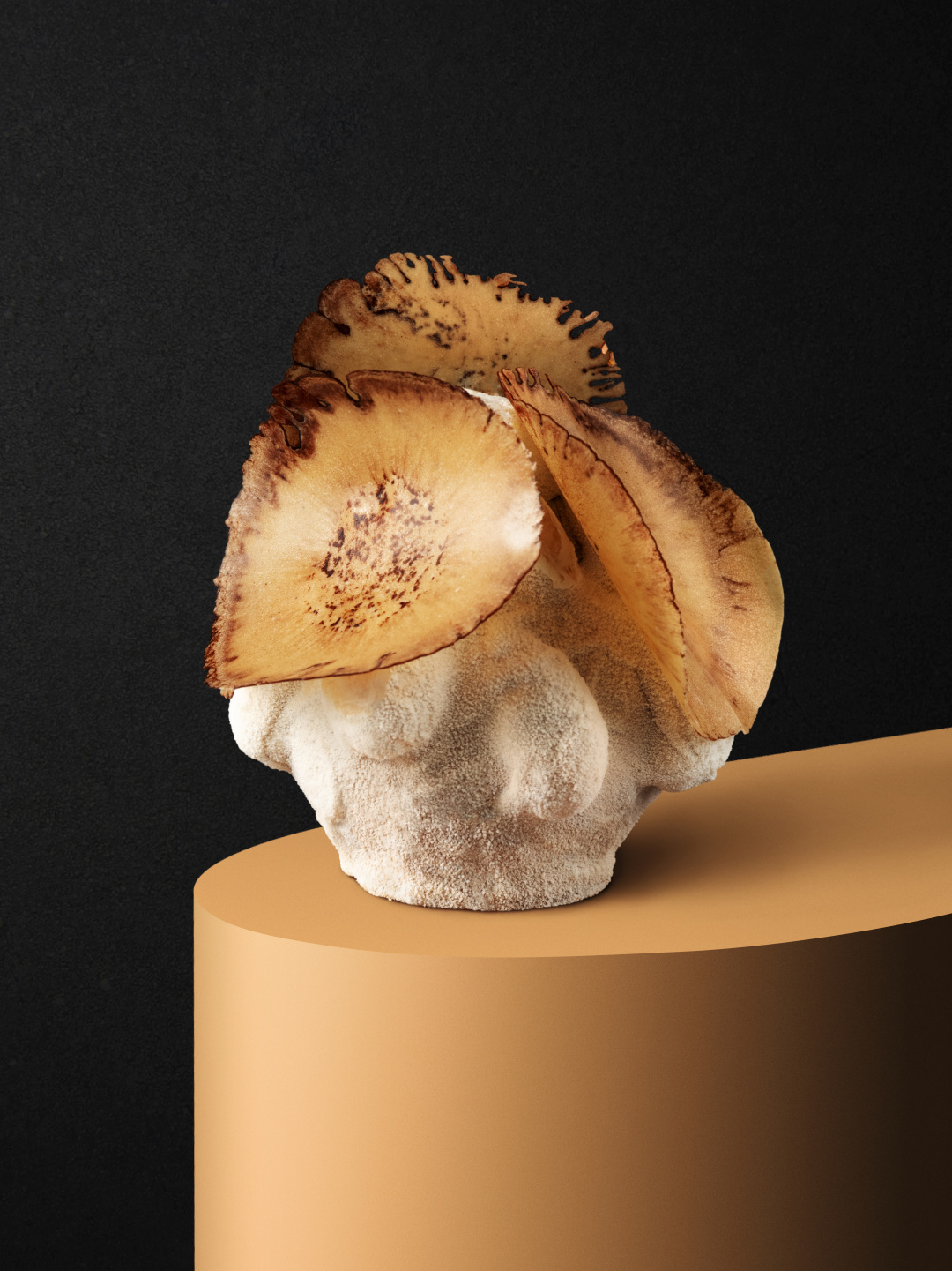 如何成为一个顶级的甜品师,世界级甜品大师是谁