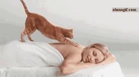 猫咪马杀鸡的视频,猫咪马杀鸡需要办卡吗