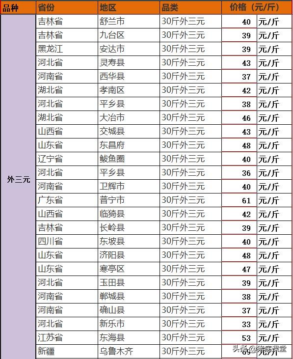 仔猪隐睾手术操作要多少钱,仔猪漏肠手术费用