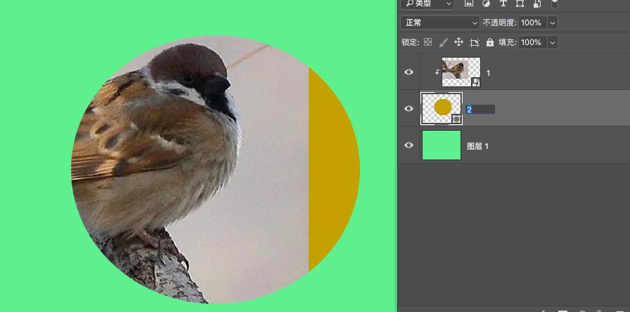 ps各种蒙版使用教程,ps入门学习如何使用蒙版